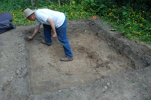 pond June 11 2