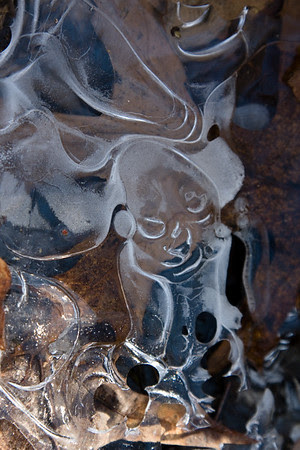 patterns in ice