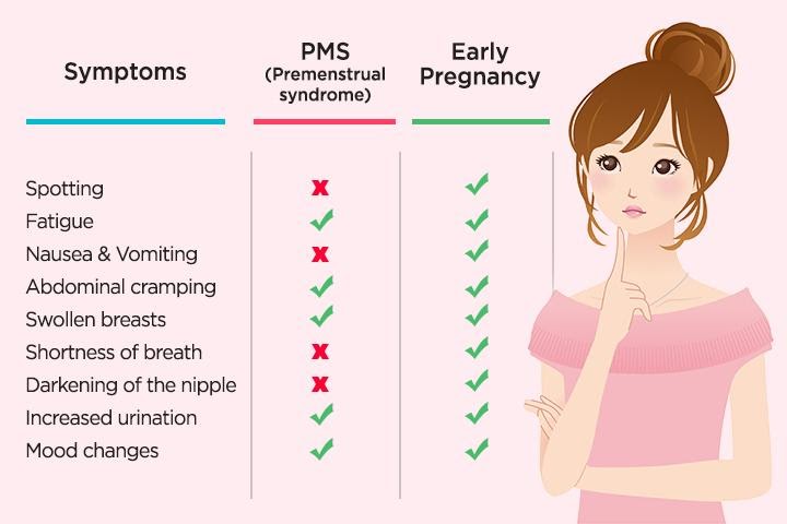 Are Sore Nipples A Sign Of Period Or Pregnancy PregnancyWalls