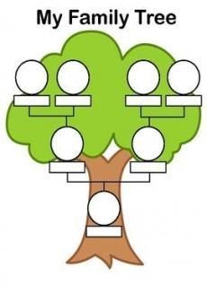 شجرة العائلة للاطفال