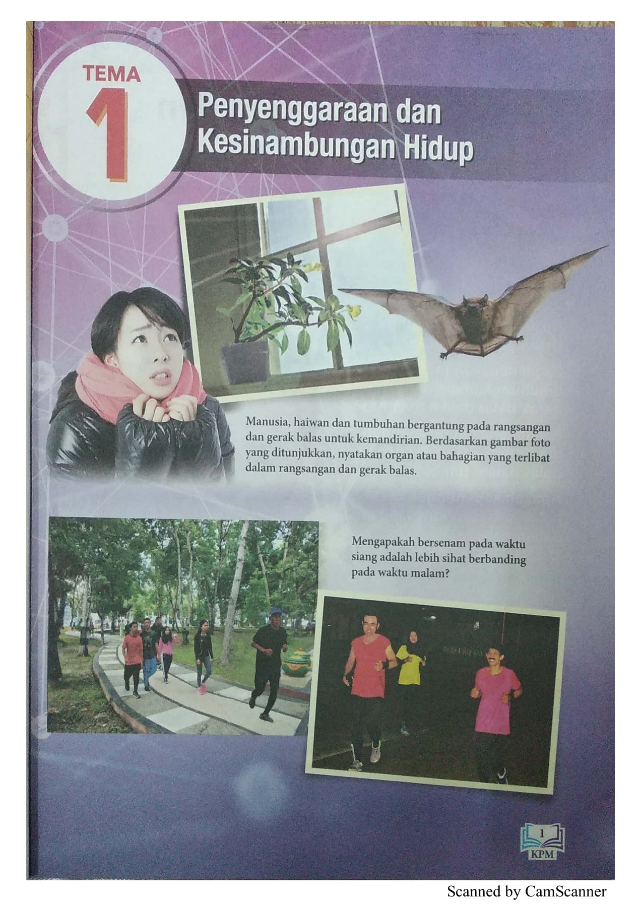 Sistem Peredaran Darah Reptilia Buku Teks 2019 Tingkatan3  You can do