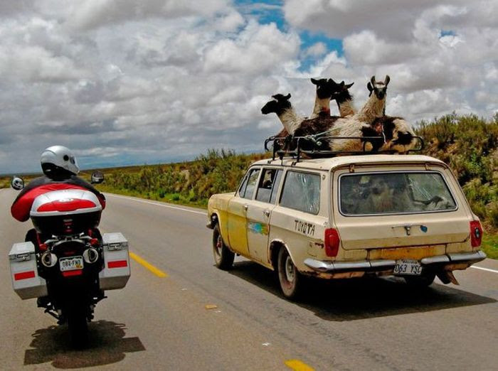 Acid Picdump (88 pics) Acid Picdump (88 pics)