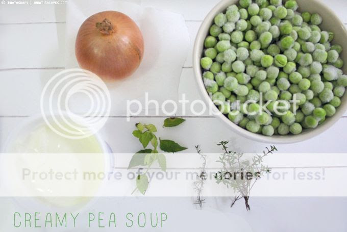 http://i402.photobucket.com/albums/pp103/Sushiina/cityglam/peasoup1.jpg