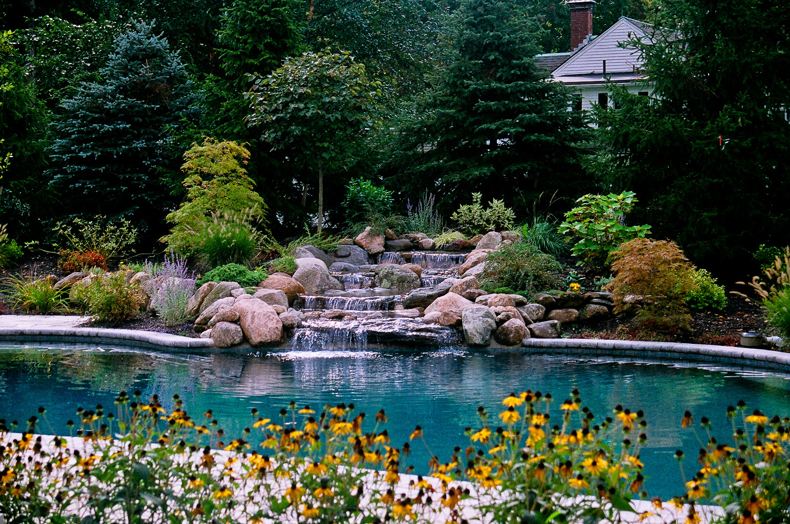 Willing landscape: Pools and landscaping ideas houston tx