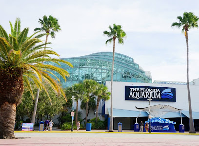 The Florida Aquarium