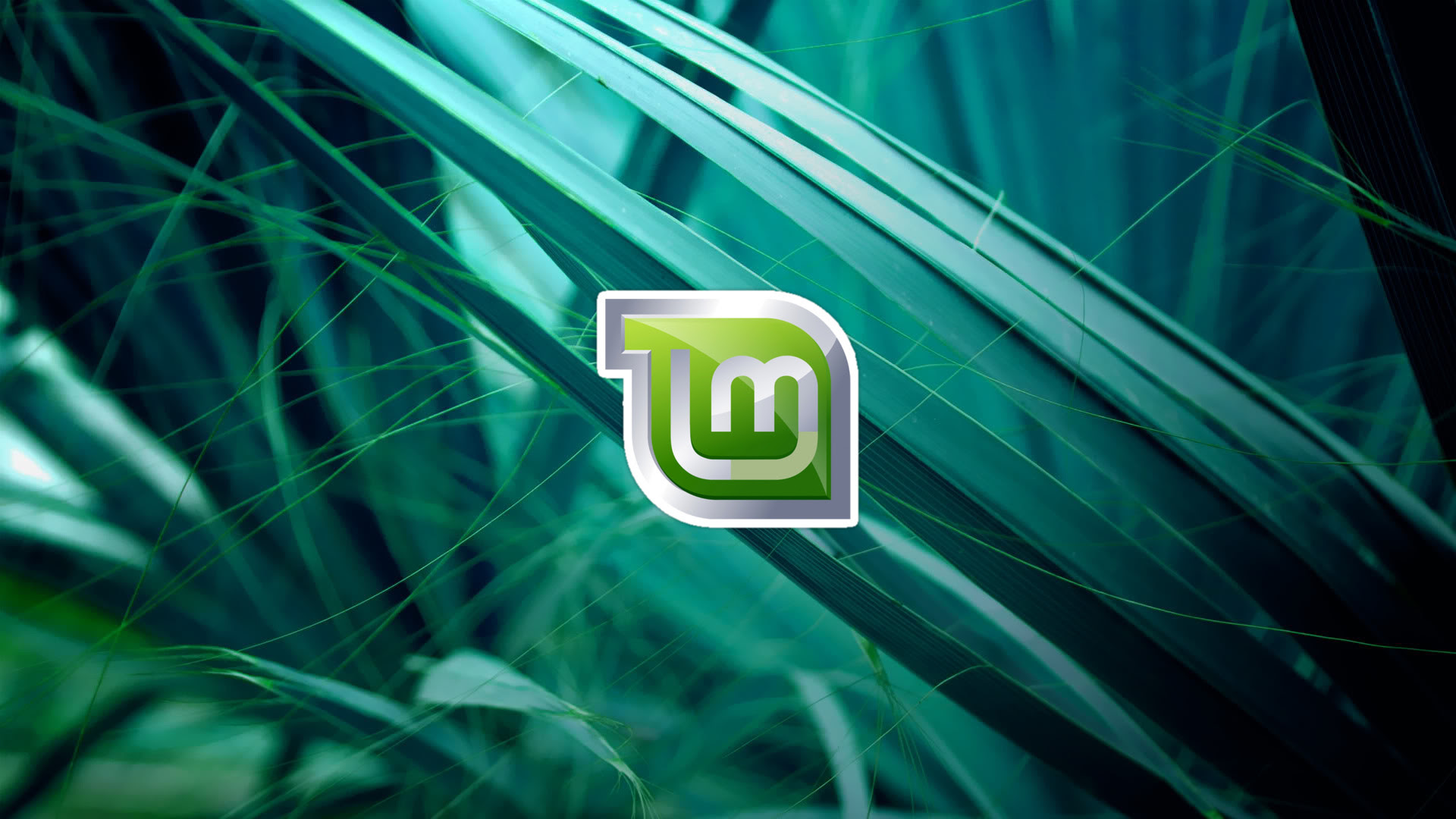 ベストコレクション Linux Mint 壁紙 壁紙の性質