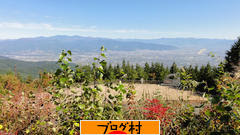 ブログランキング・にほんブログ村へ