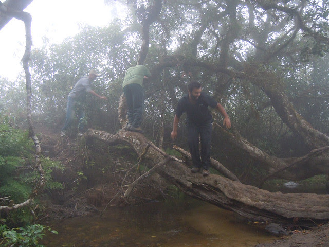 Brahmagiri_Trek_Water_Crossing2