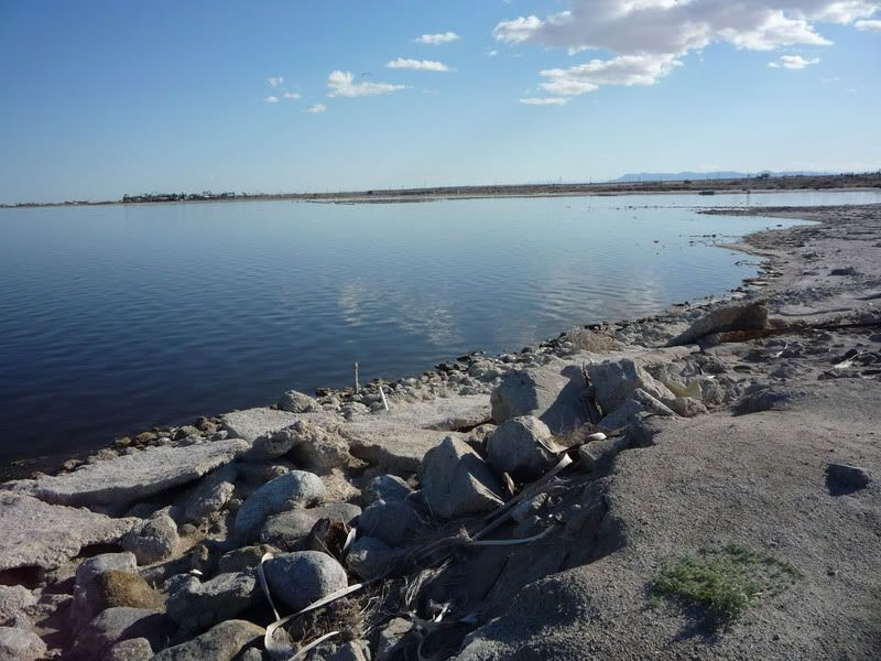 Salton Bay Motor Hotel