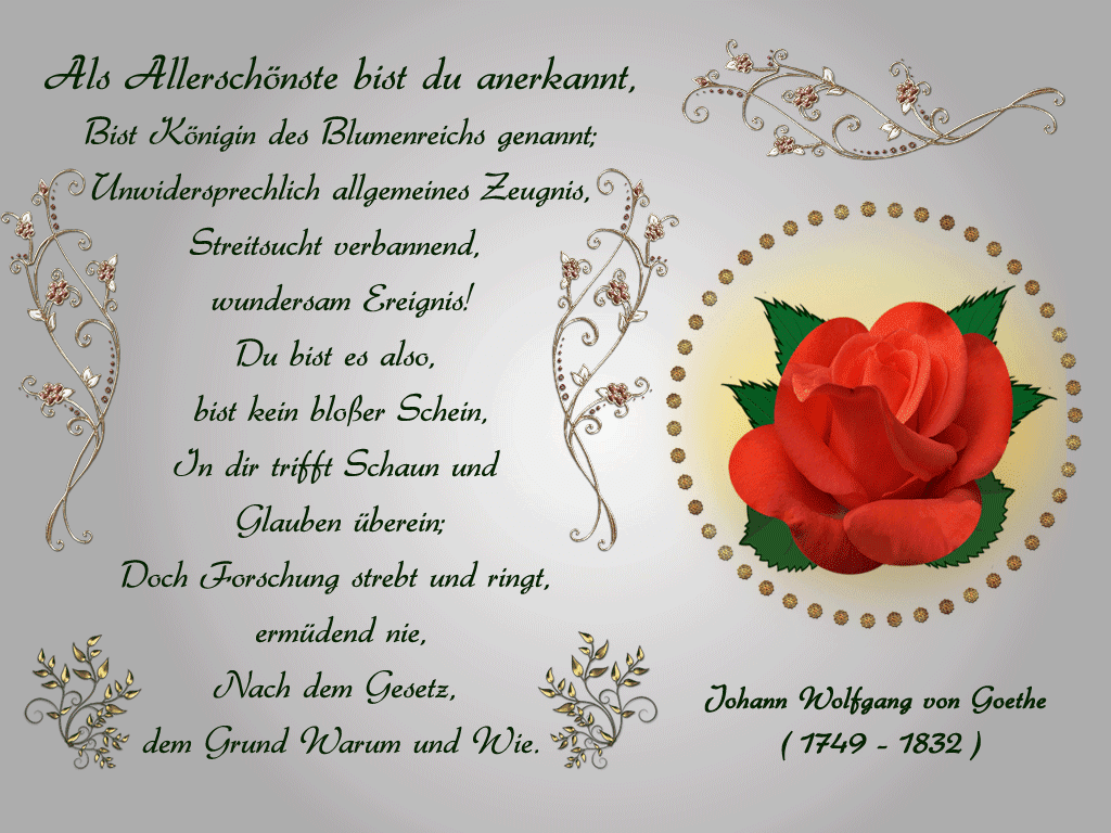 Geburtstag Gedichte Von Goethe