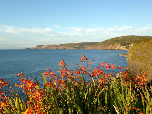 aberporthtonorth.jpg