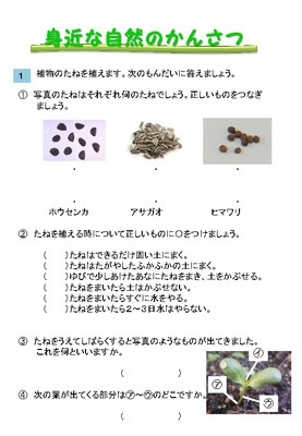 フレッシュ小学3 年理科 ぬりえ壁紙hd