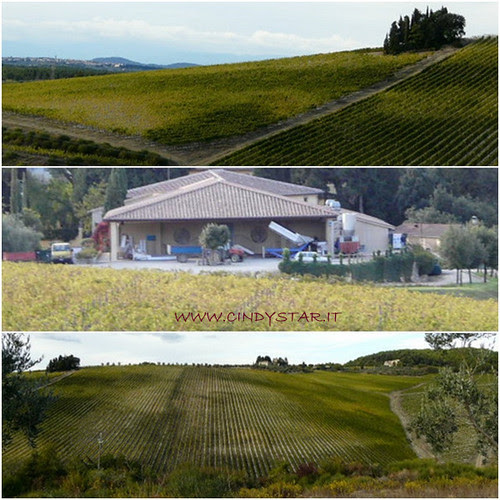 passignano 17.X.2009 - cantina tignanello