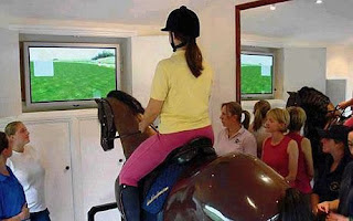 Next Megayacht fad? Horse simulator