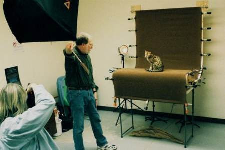 Cat photography with Ken and Helmi Flick