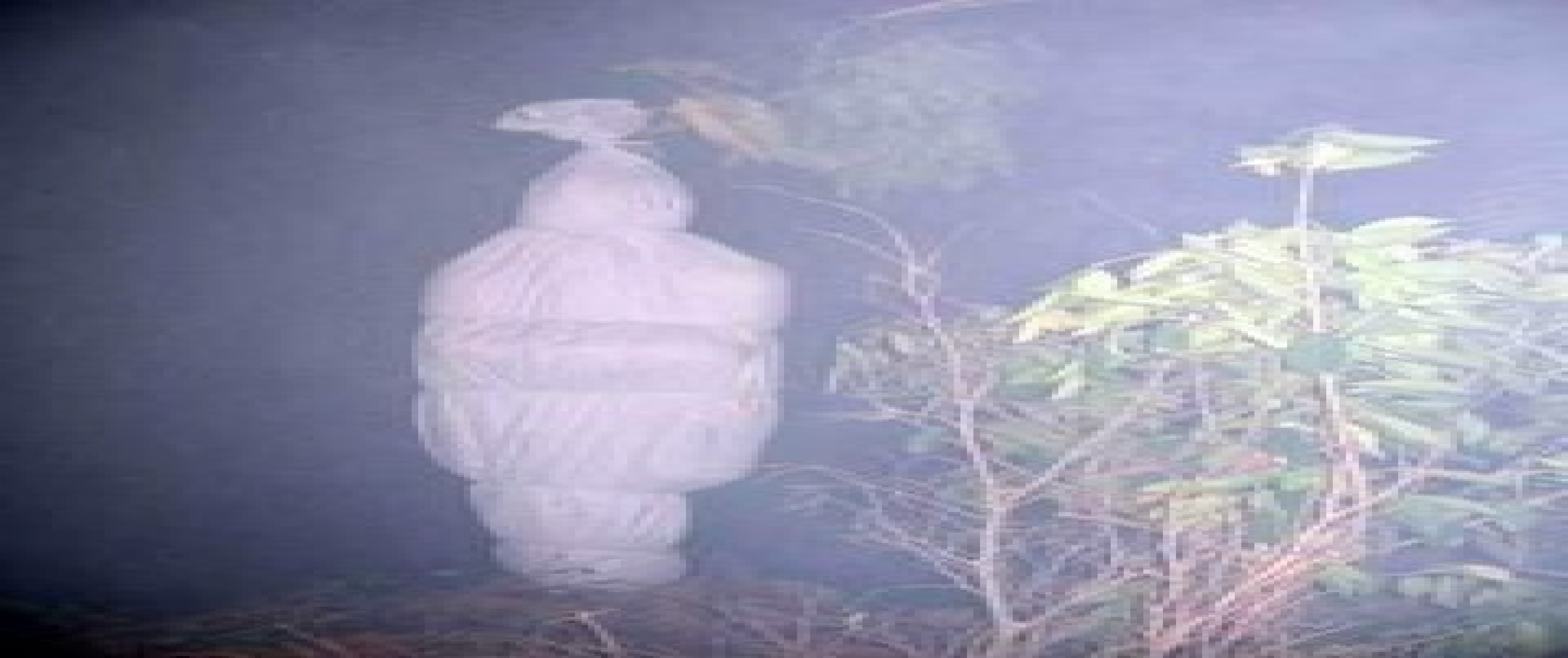 93 Koleksi Gambar Hantu Pocong Bergerak Terbaik