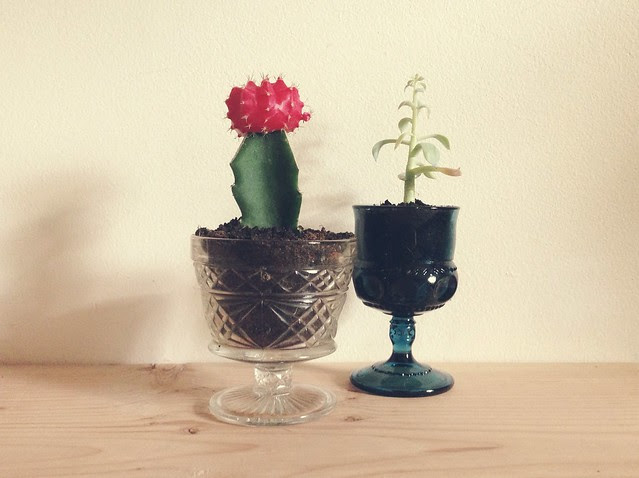 DIY • Vintage Glass Succulent Planters.