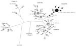 Thumbnail of Maximum-parsimony tree of partial viral protein 1 sequences of enterovirus D68 (EV-D68). Included are the strains obtained in the laboratory of the University Medical Center Groningen (Groningen, the Netherlands) in 2014 (light gray, n = 23) and 2016 (black, n = 20) and worldwide isolates from 2014 (dark gray, n = 73). Recent strains cluster in the recently described clade B3, with a nucleotide divergence of 2.1% within clade B3, 5.5% to clade B1, and 7.3% to clade B2. Clades are ac