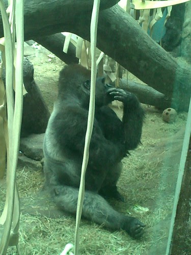photo.JPG