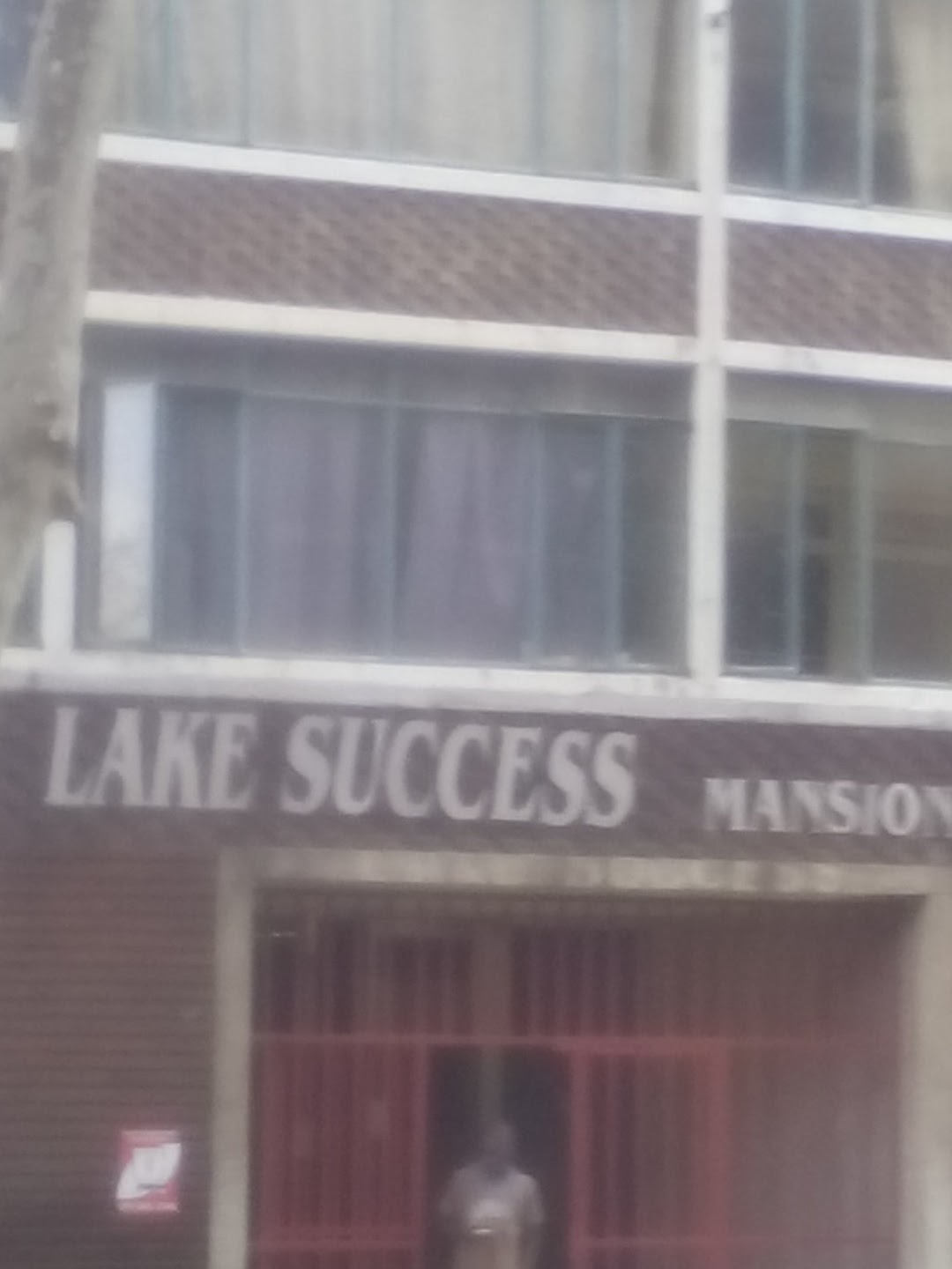 Lake Success Mansion.