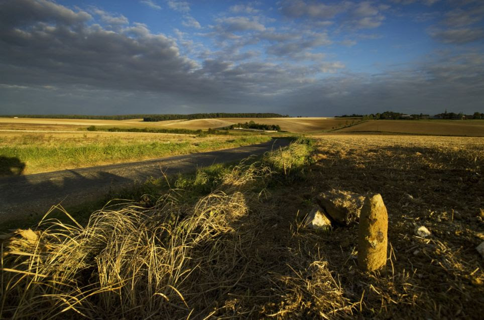 Metal detection: Mike St Maur Sheil's picture of the Somme battlefield today where farmers are still finding shells and war debris known as the 'Iron harvest'