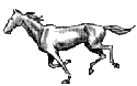 cheval001 ancien