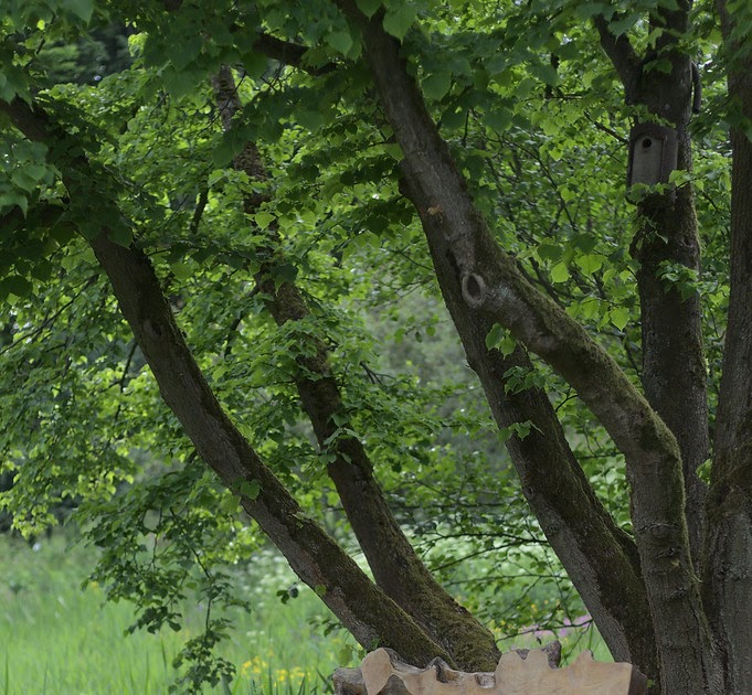 44+ schlau Bild Botanischer Garten Klein Flottbek Loki