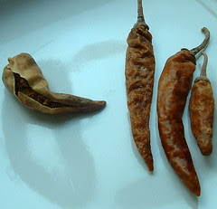 StuffedChillies