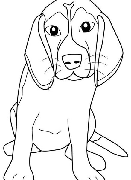 Disegni Da Colorare Cani Segugio Coloratutto Website