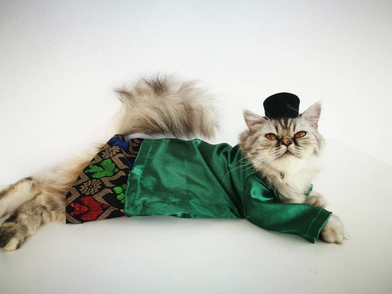 Cat Baju Kurung Singapore - BAJUKU