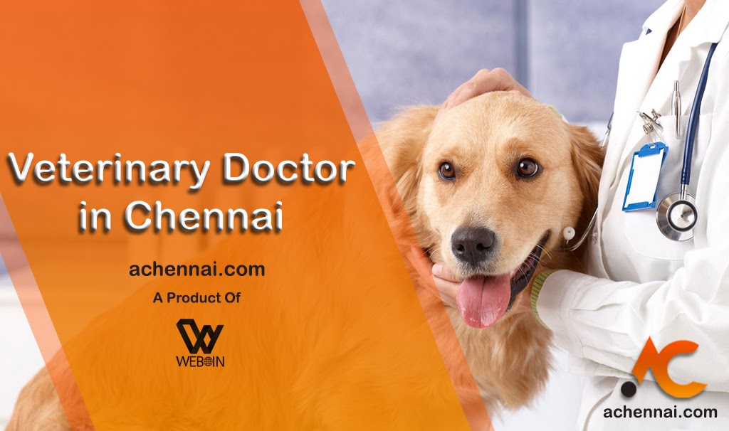 veterinary doctor home visit chennai