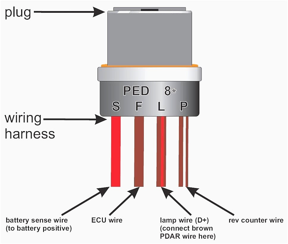 94 Lt1 Wiring Harnes - Wiring Diagram Networks