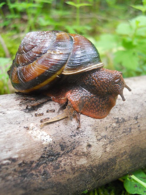 spring2011 281