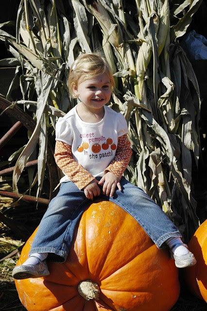 At the pumpkin patch
