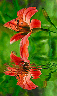 Цветок у воды