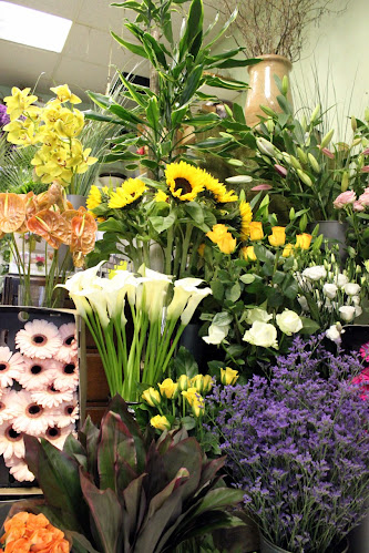 Comments and reviews of The Flower Shop