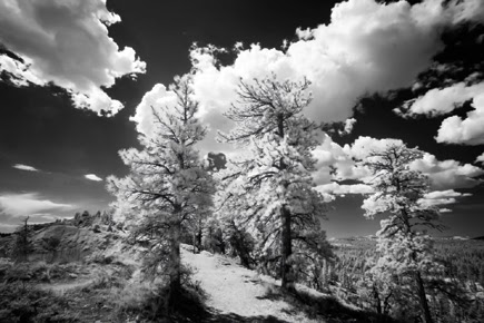 LEICA Barnack Berek Blog: INFRARED PHOTOGRAPHY WITH THE LEICA M8, M9, ME  AND M MONOCHROM