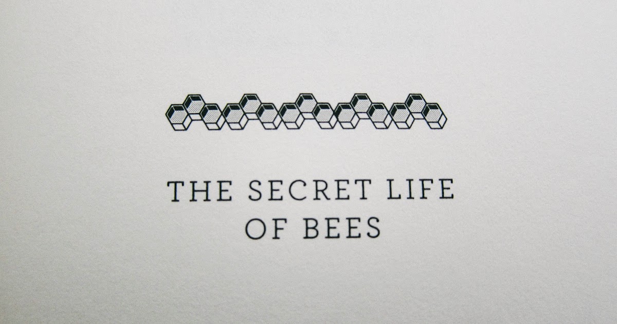 the secret life of bees essay thesis