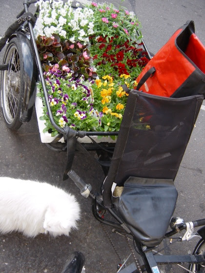Brox filled with flowers from Columbia Road flower market Brox filled with flowers from Columbia Road flower market
