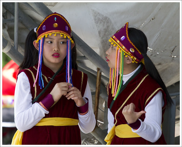 Chinese Festival at MoBot 3