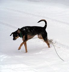 Tut_snowzip_122007b