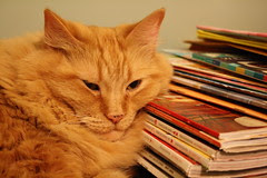 Napping on the magazines
