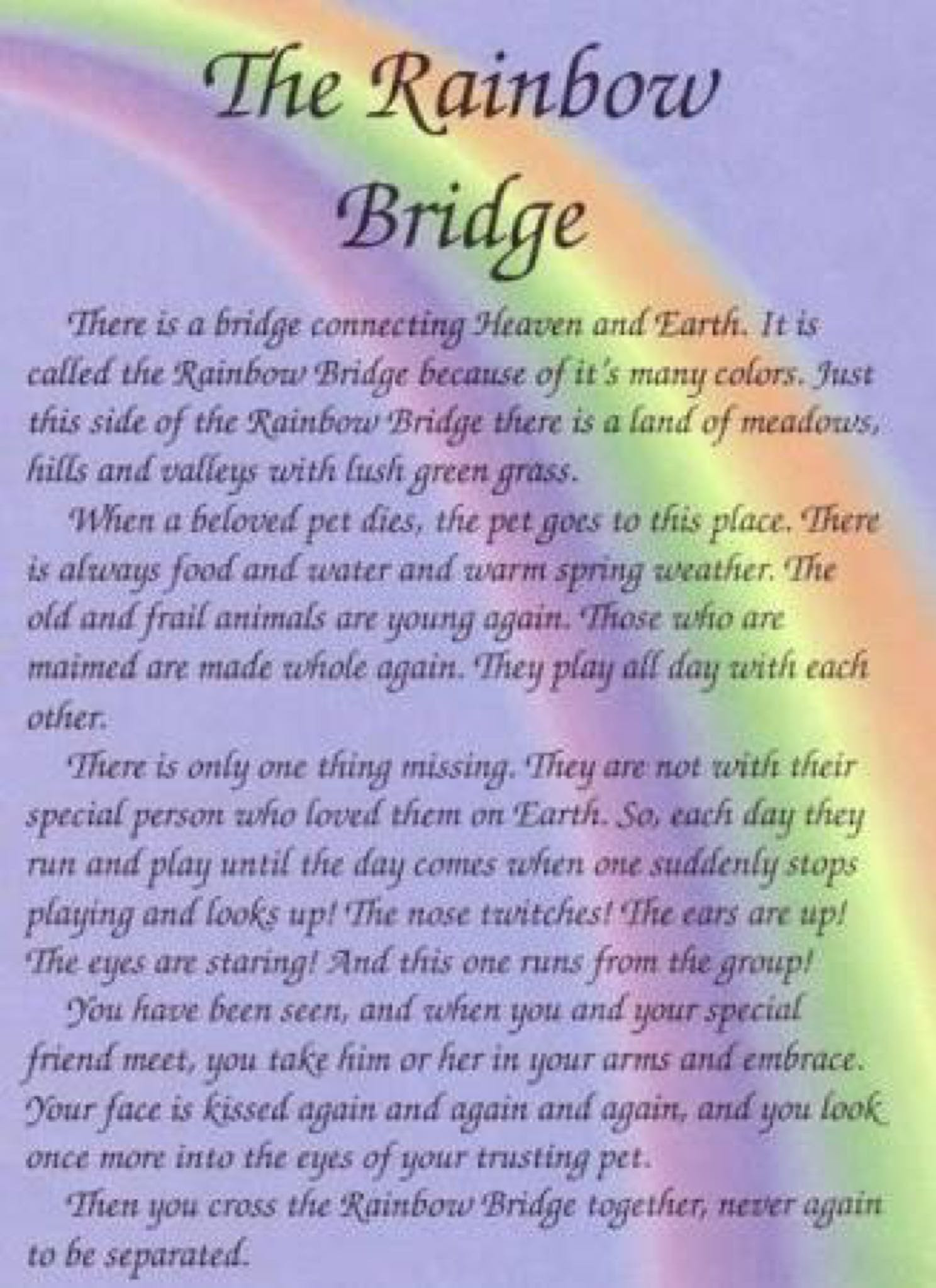 free-printable-rainbow-bridge-poem-pdf-the-rainbow-bridge-poem-art-print-by-mark-andrew-thomas