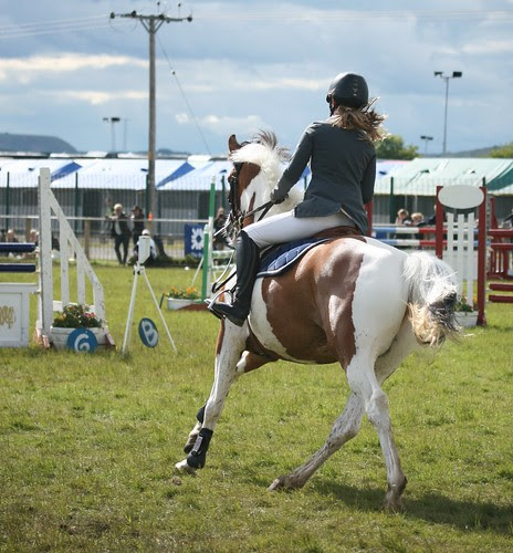 Showjumping
