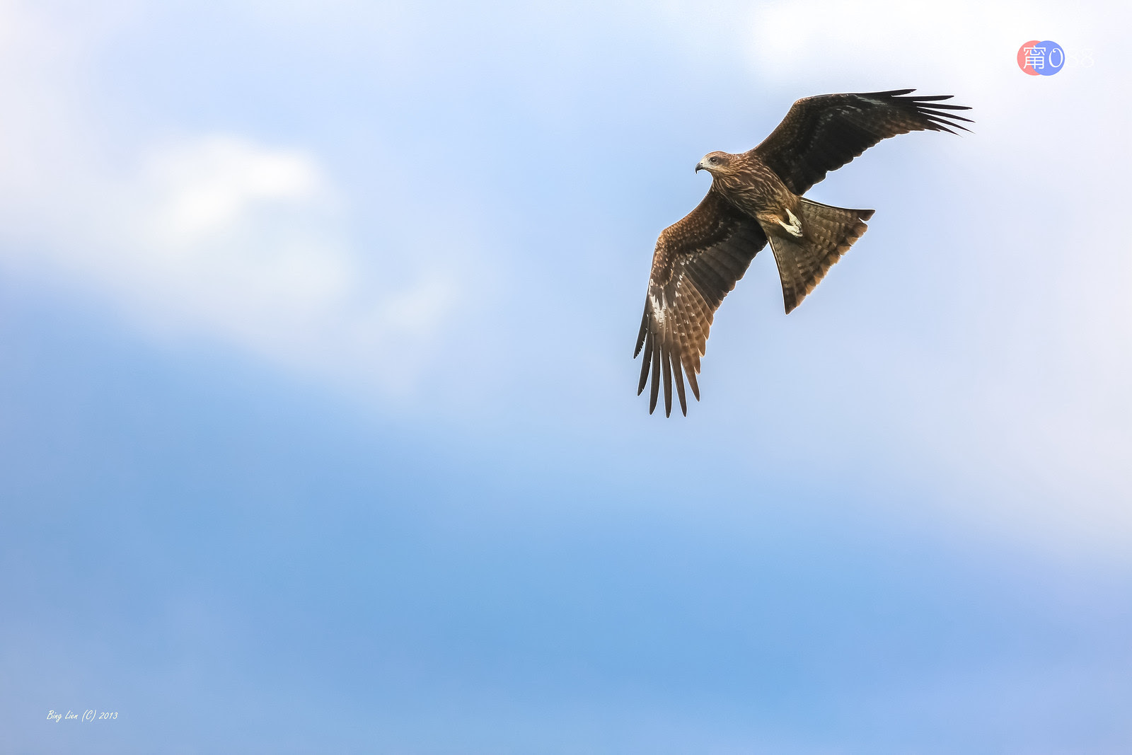 WATER_BING6709_LR