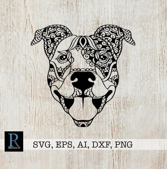 Pitbull Mandala Svg Free - 170+ SVG PNG EPS DXF File