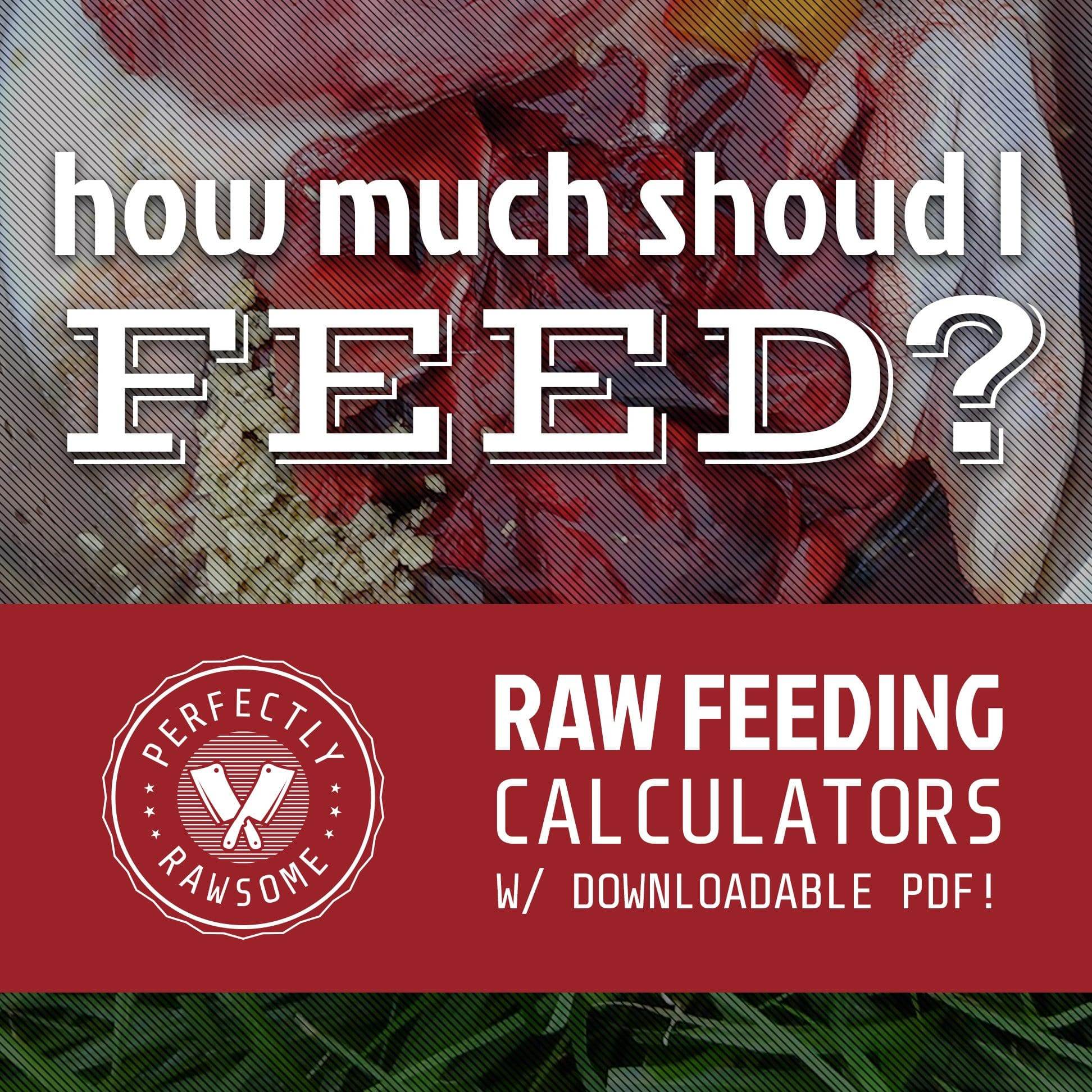 Raw Dog Food Recipe Calculator