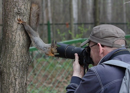 Eşti vreun paparazzi? Squirrel