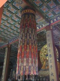 Free Image Hosting at www.ImageShack.us