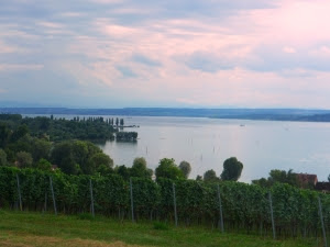 Bodenseewijnbouwrond